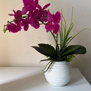 Elegant Pink Orchid in White Vase